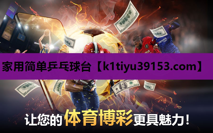 家用简单乒乓球台